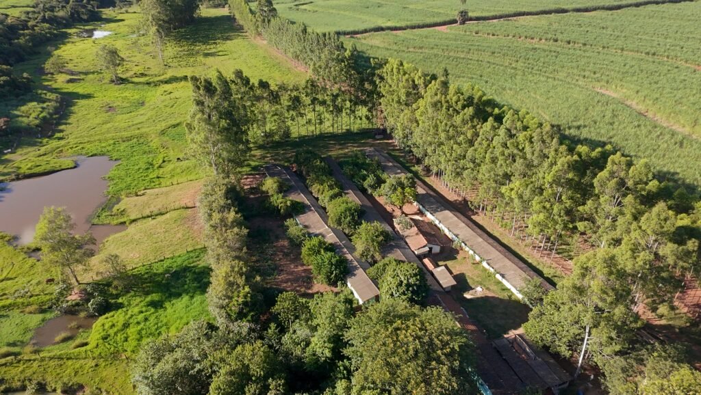 DJI 20250301170602 0022 D 1024x578