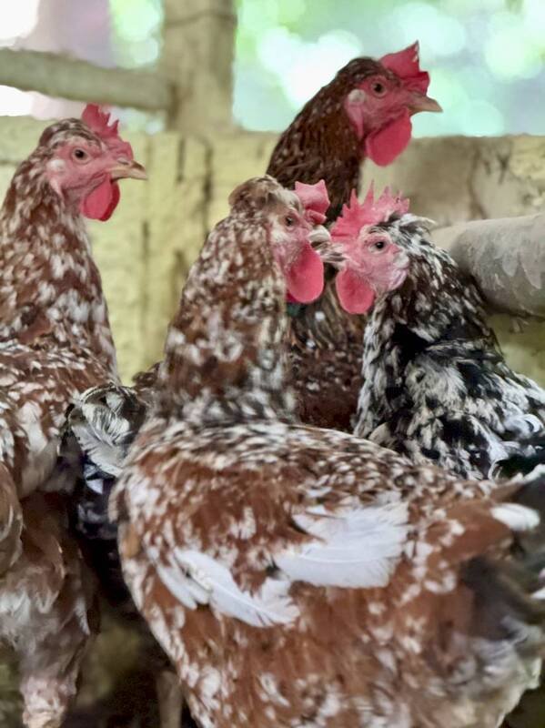 c2e76bea01a2ea8cae9f6573393323bd